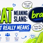 Brat Meaning Slang