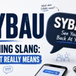 SYBAU Meaning Slang