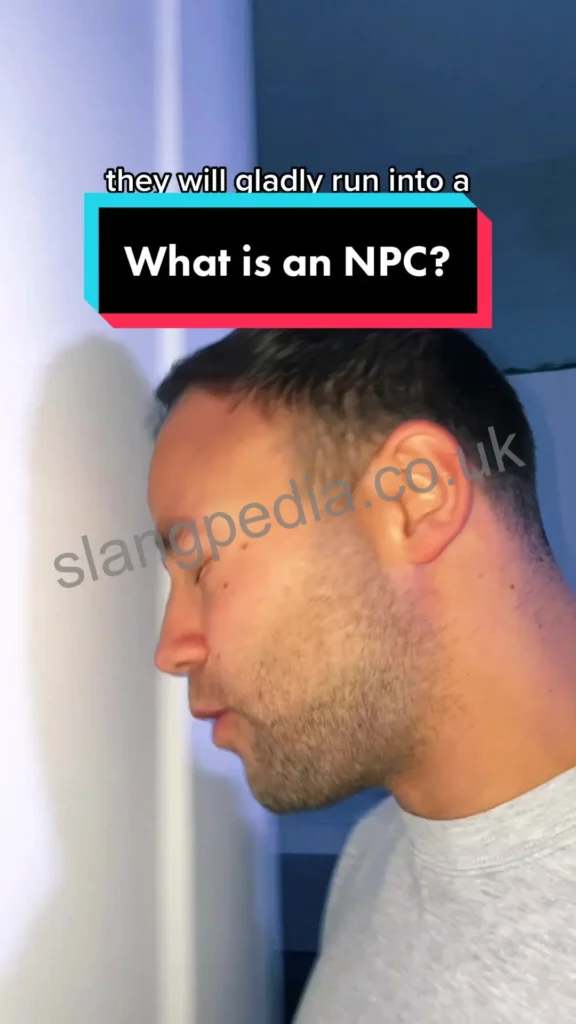What Does NPC Mean on TikTok