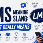 LMS Meaning Slang