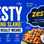What is Zesty Meaning Slang