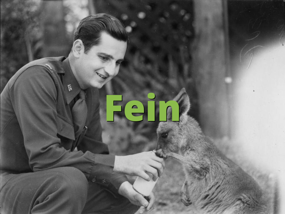 What Does Fein Mean on TikTok?