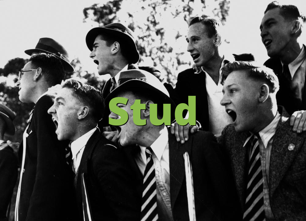 What Does Stud Mean in Text?