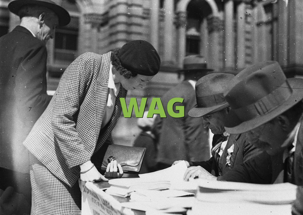 What Does WAG Mean in Text?