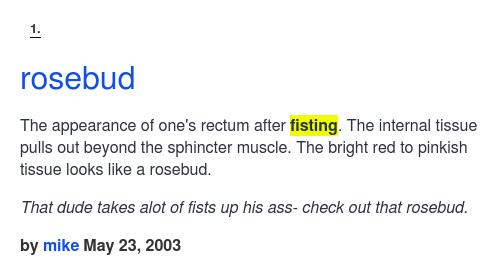 What Does Rosebud Mean in Text?