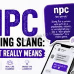 NPC Meaning Slang