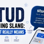 Stud Meaning Slang