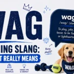 WAG Meaning Slang