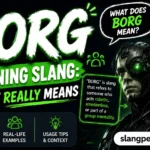Borg Meaning Slang