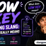 Low Key Meaning Slang