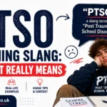 PTSO Meaning Slang