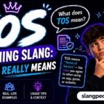 TOS Meaning Slang