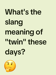 What Does Twin Mean in Text?