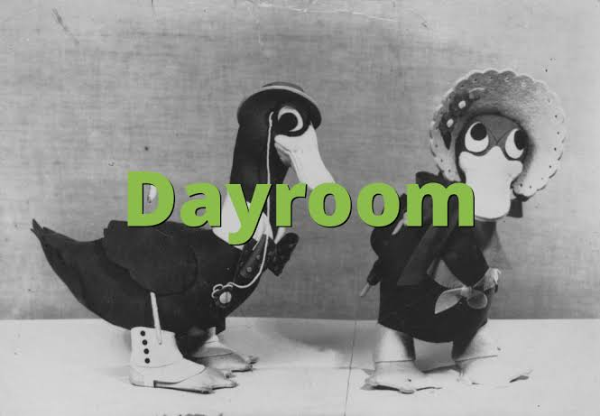 What Does Dayroom Mean in Text?
